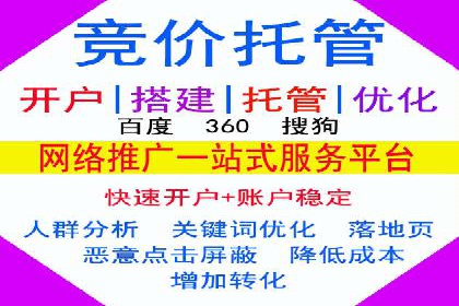 行业领先企业的关键词竞价排名实战案例